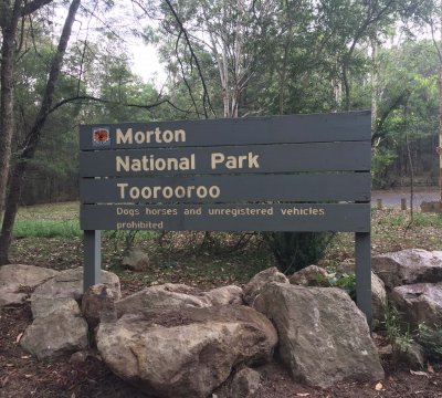 After the descent into he valley. Toorooroo, Moreton National Park.